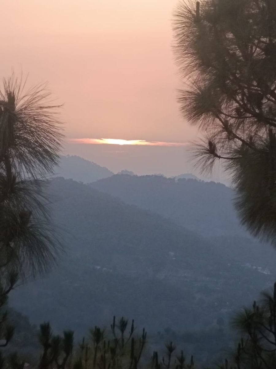 Valley View Homestay in Solan, Himachal Pradesh