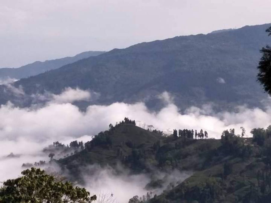 Esti Kutum Farm Stay in Kalimpong, West Bengal