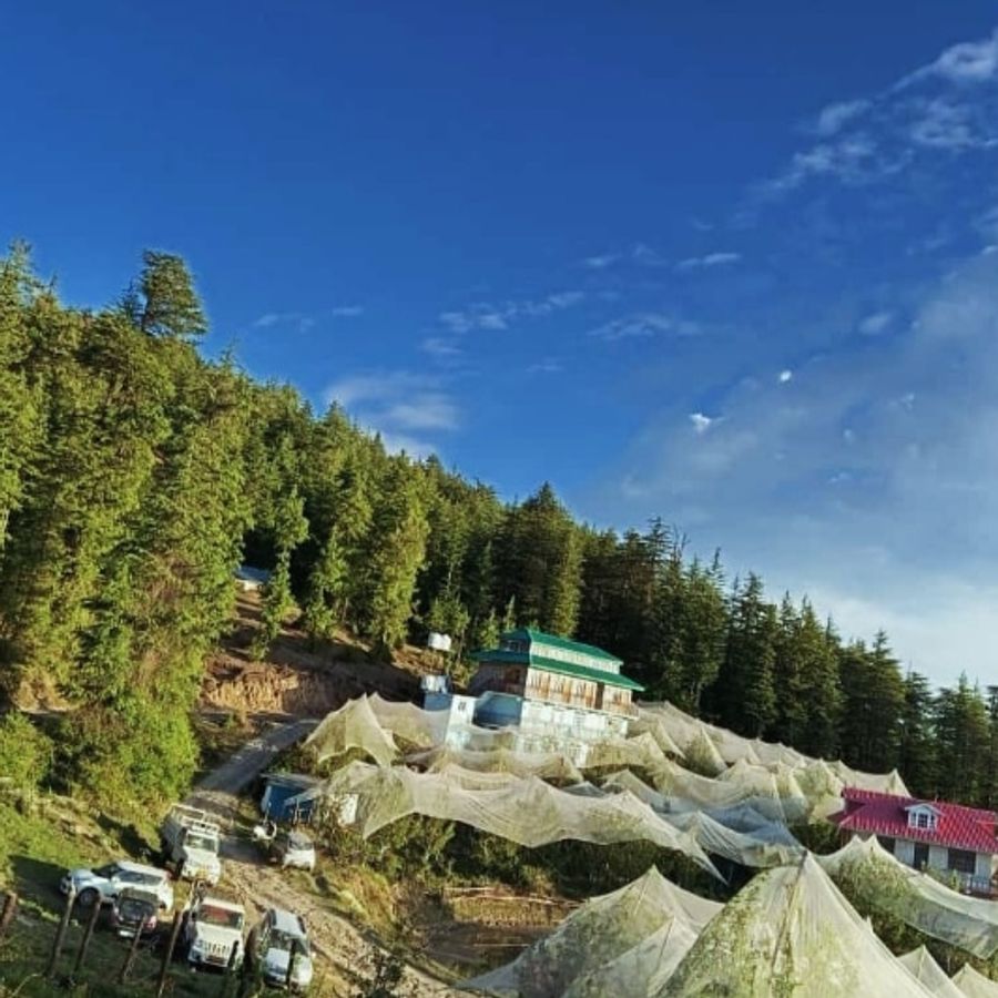 Home stay in Theog, Himachal Pradesh