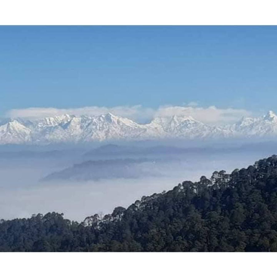 Goldi homestay in Nainital, Uttarakhand