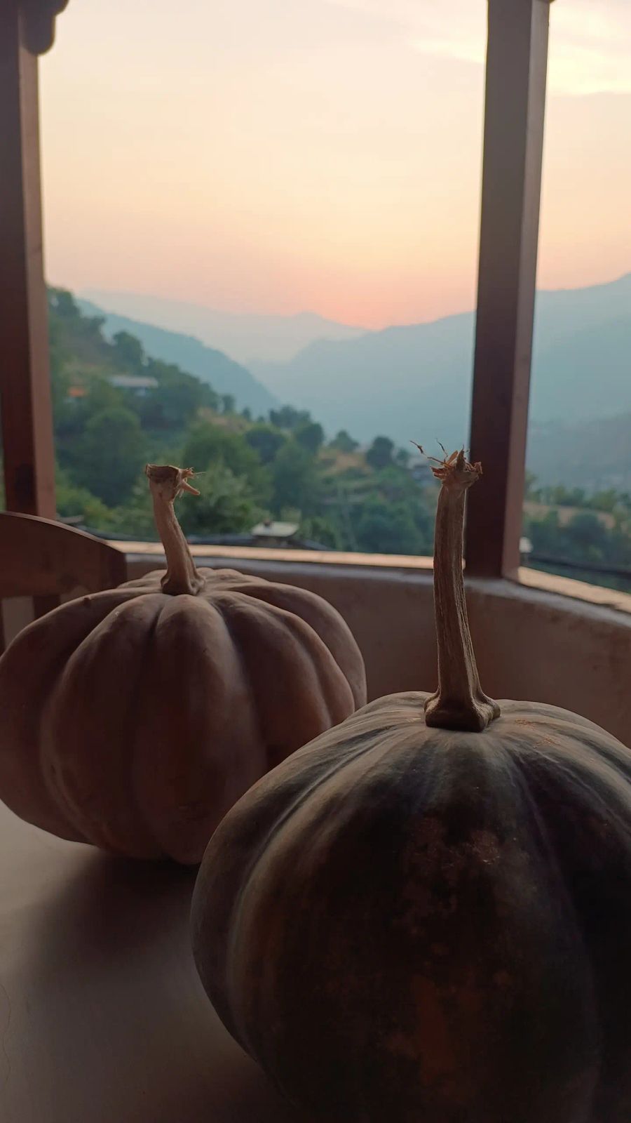 Himalayan Orchard Huts in Chamba, Himachal Pradesh