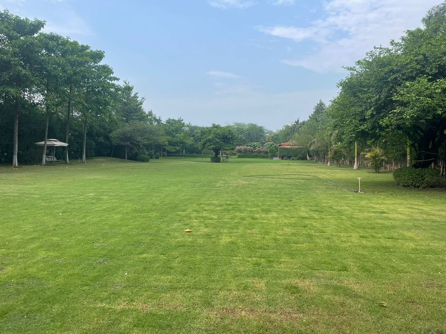 Spacious green party lawn at luxury villa in gurugram