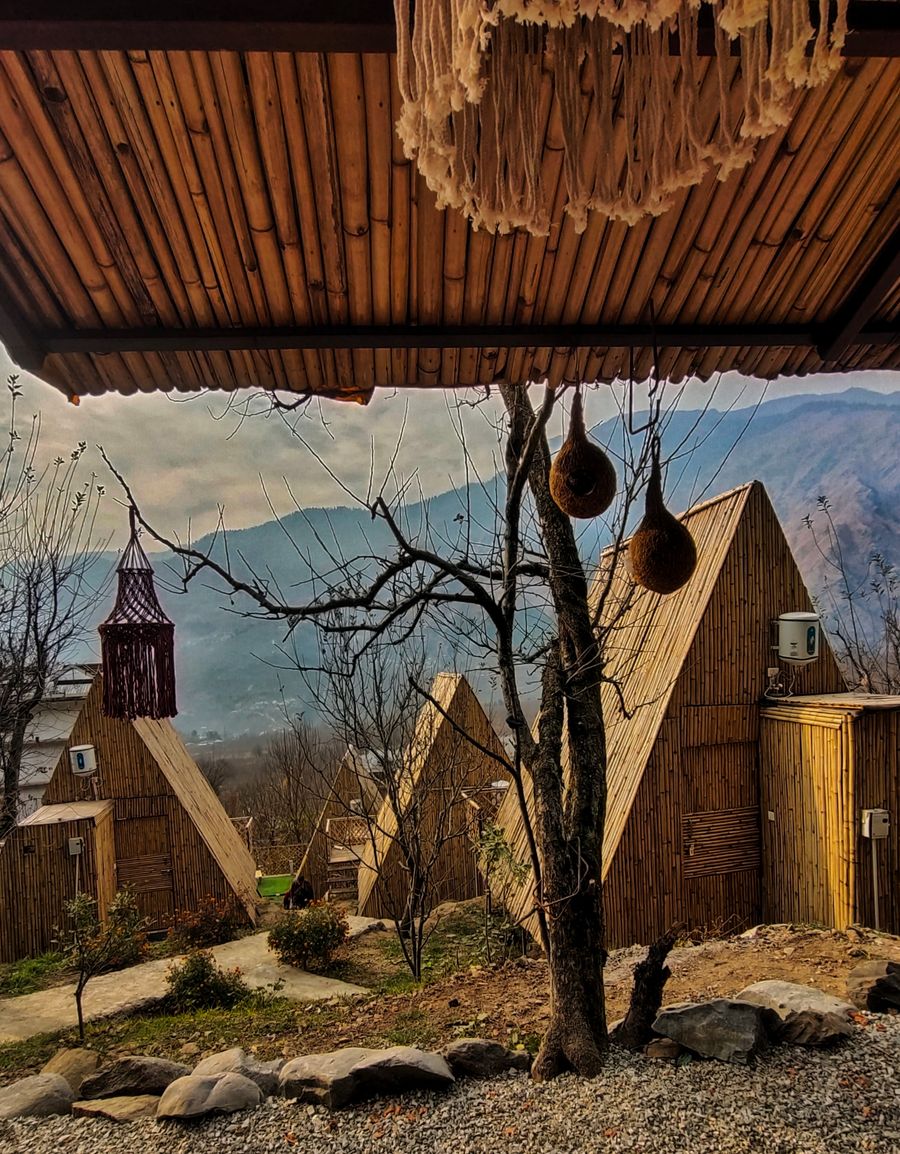 Pet friendly Bamboo Resort in Manali in Manali, Himachal Pradesh
