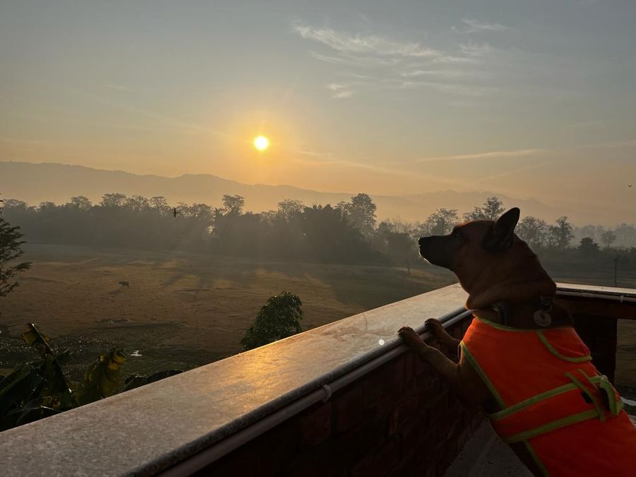 Sunrise morning view from balcony terrace in Rishikesh