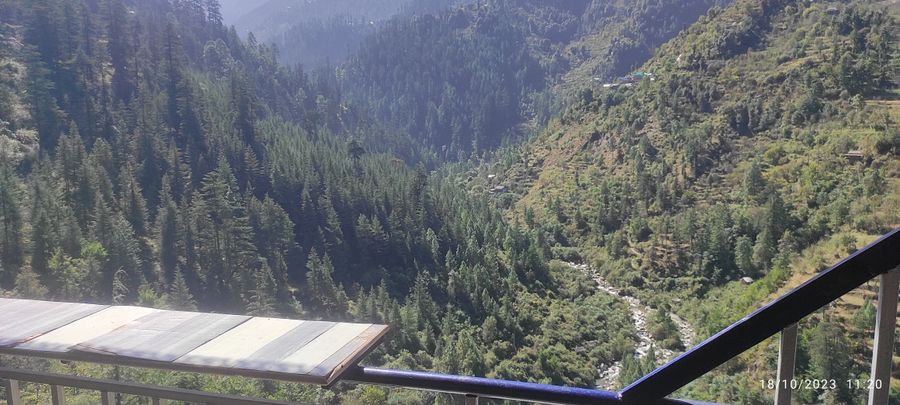 Cloudwalker Inn in Banjar, Himachal pradesh