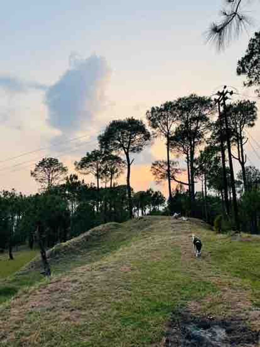 Jolly Villa in Kumarhatti, Himachal Pradesh