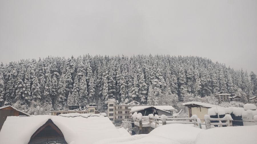 David Home Stay in Manali, Himachal Pradesh