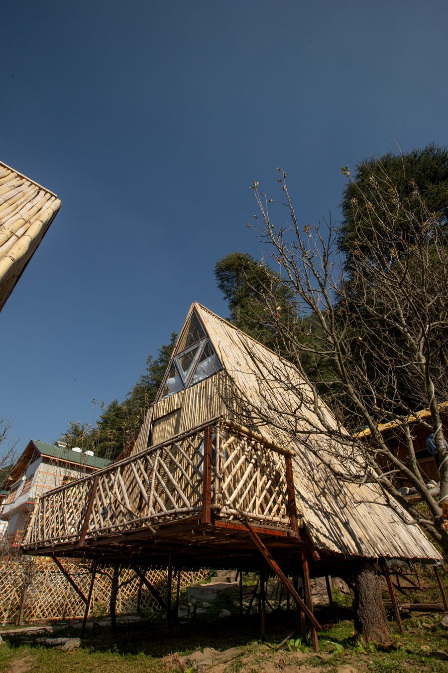 Pet friendly Bamboo Resort in Manali in Manali, Himachal Pradesh