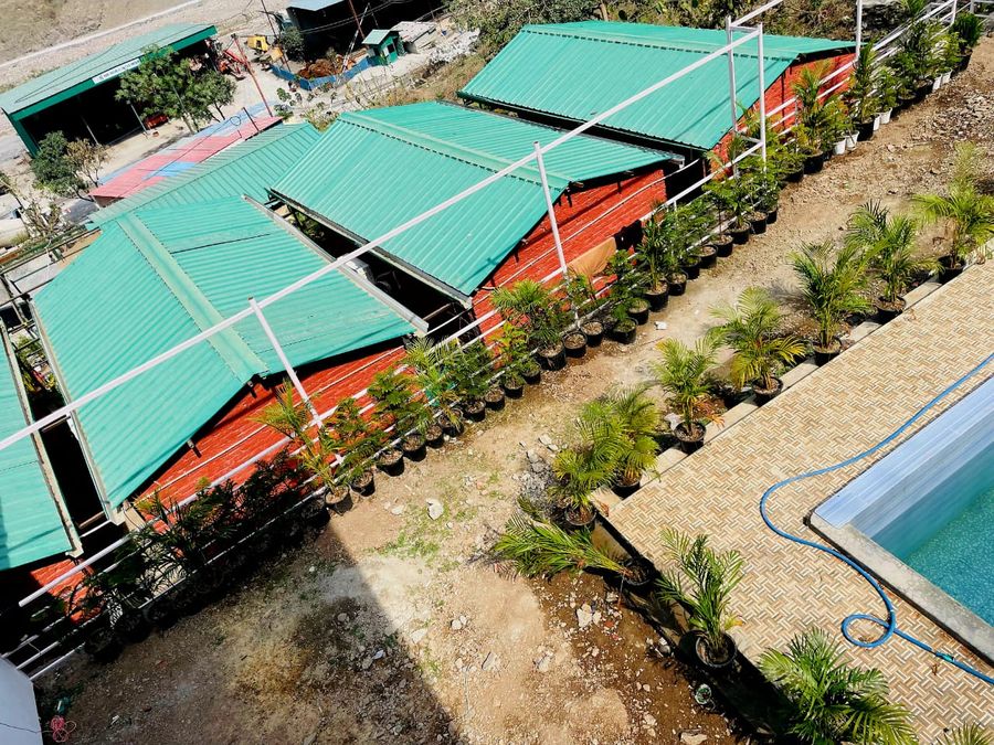 Elevated top view of resort grounds with green tin roofs, poolside, and potted plants in Rishikesh