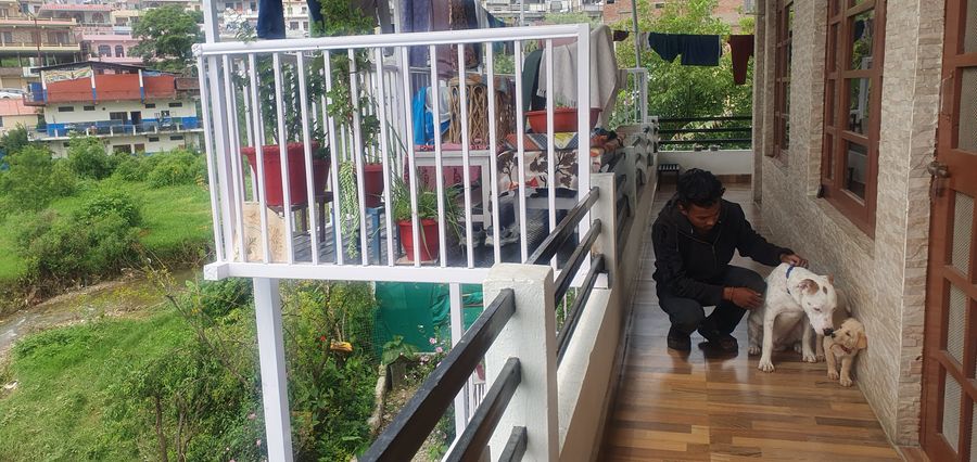 Lumbini Homestay, Pithoragarh in pithoragarh, uttarakhand