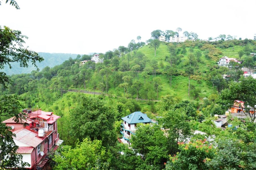 Panoramic view of lush green hillside valley from Kasauli stay