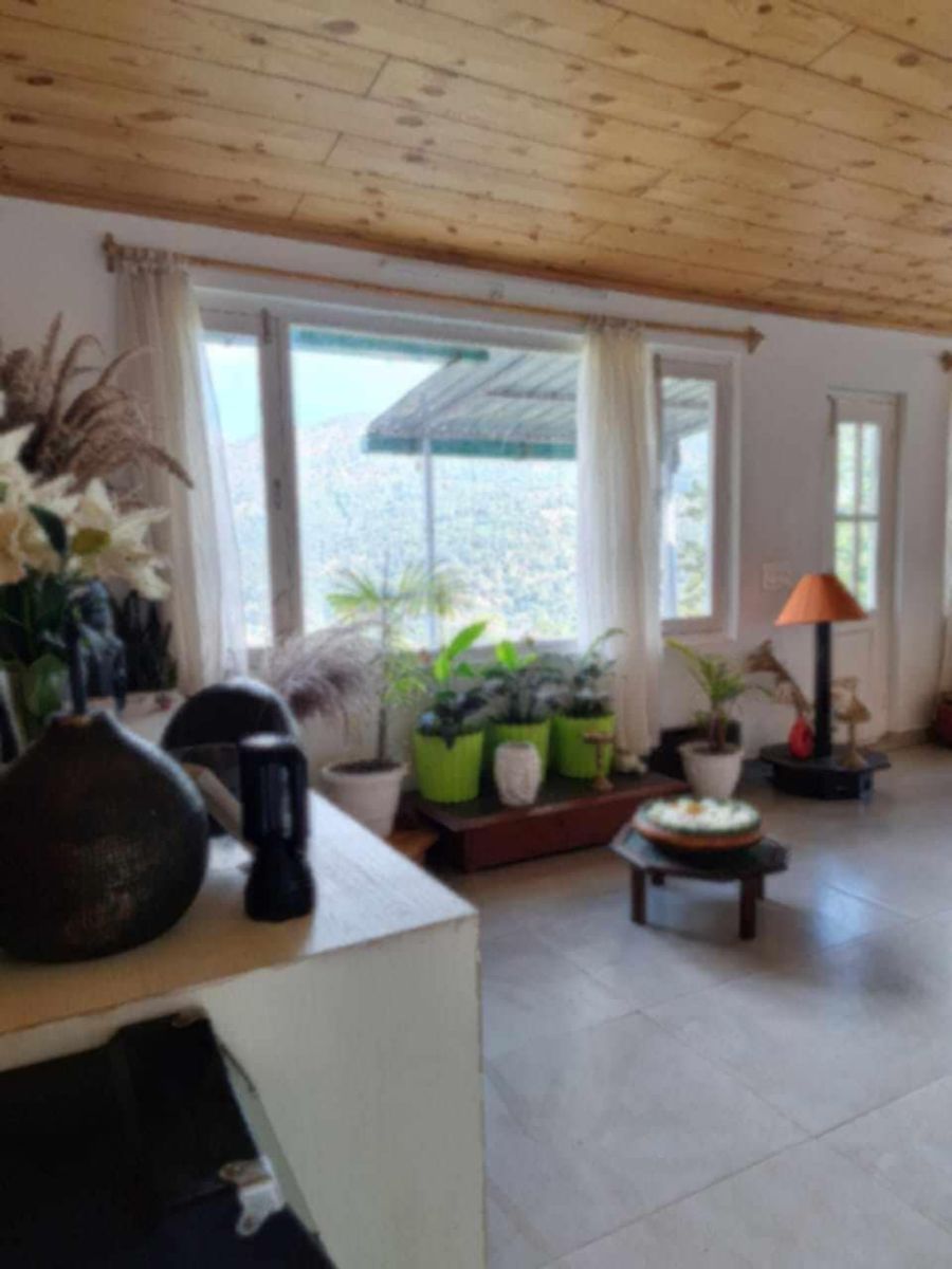 Sunlit indoor plant corner overlooking mountain greenery in Bhimtal