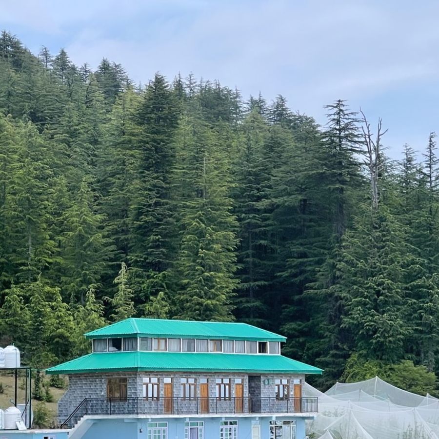Home in Tyali in Theog, Himachal pradesh