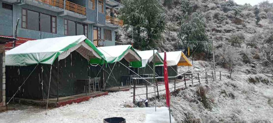 Bogchi Camping in Mandi, Himachal Pradesh
