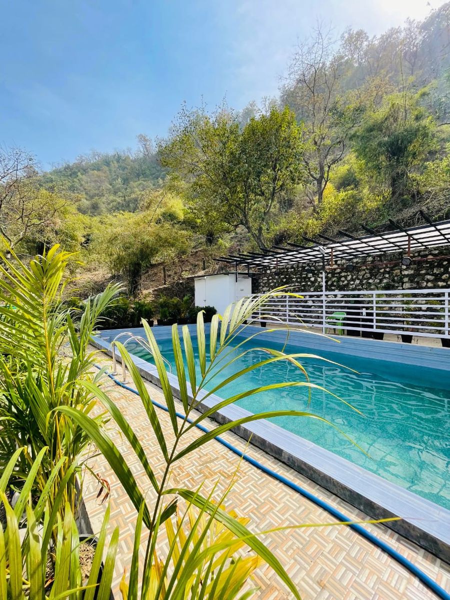 Refreshing outdoor swimming pool flanked by palm plants and hillside greenery in Rishikesh