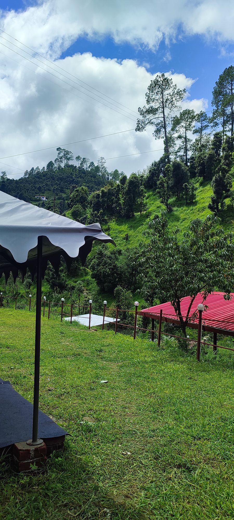 Mountain campsite canopies surrounded by lush green forests in Bhimtal
