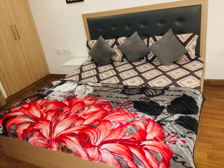 Single Studio Apartment in Noida by Pearl Castle in Noida, Uttar Pradesh