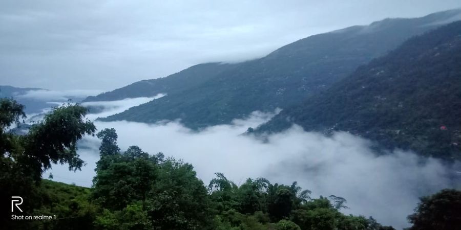MAJESTIC ZEN FARMSTAY in Darjeeling, West Bengal