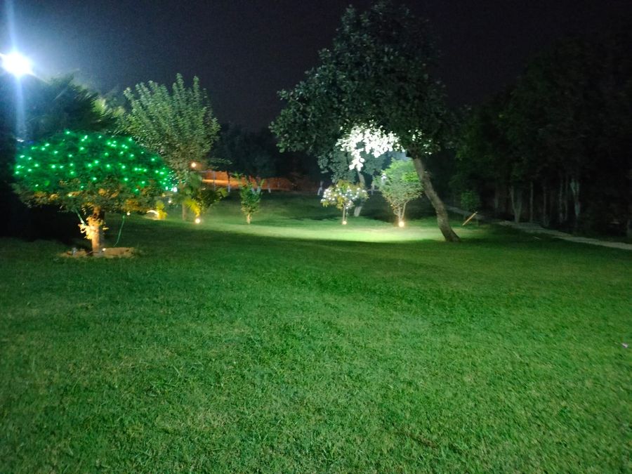 Night garden lawn illuminated royal stay farm house gurgaon