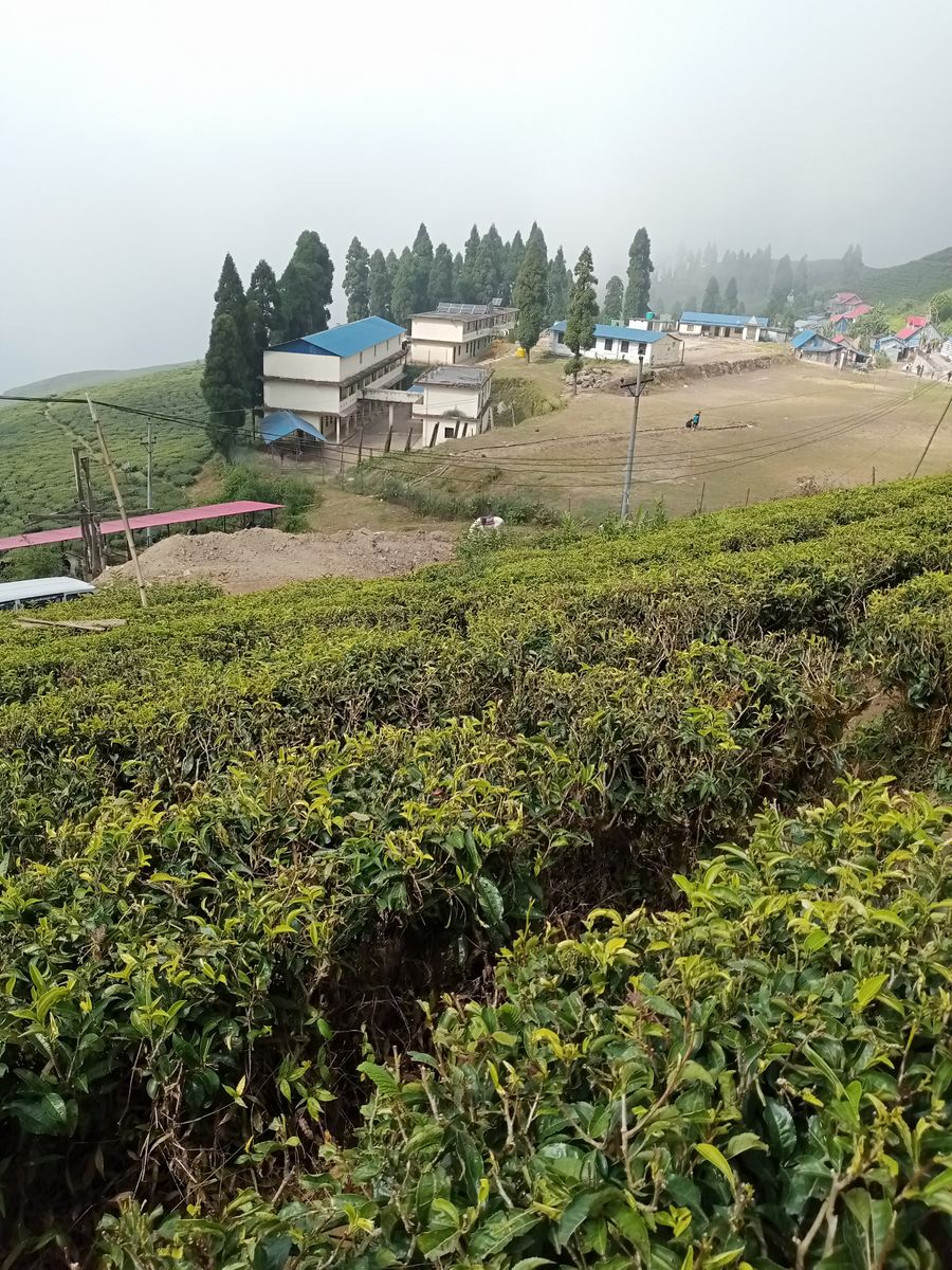 Divya palace in singtam, Sikkim