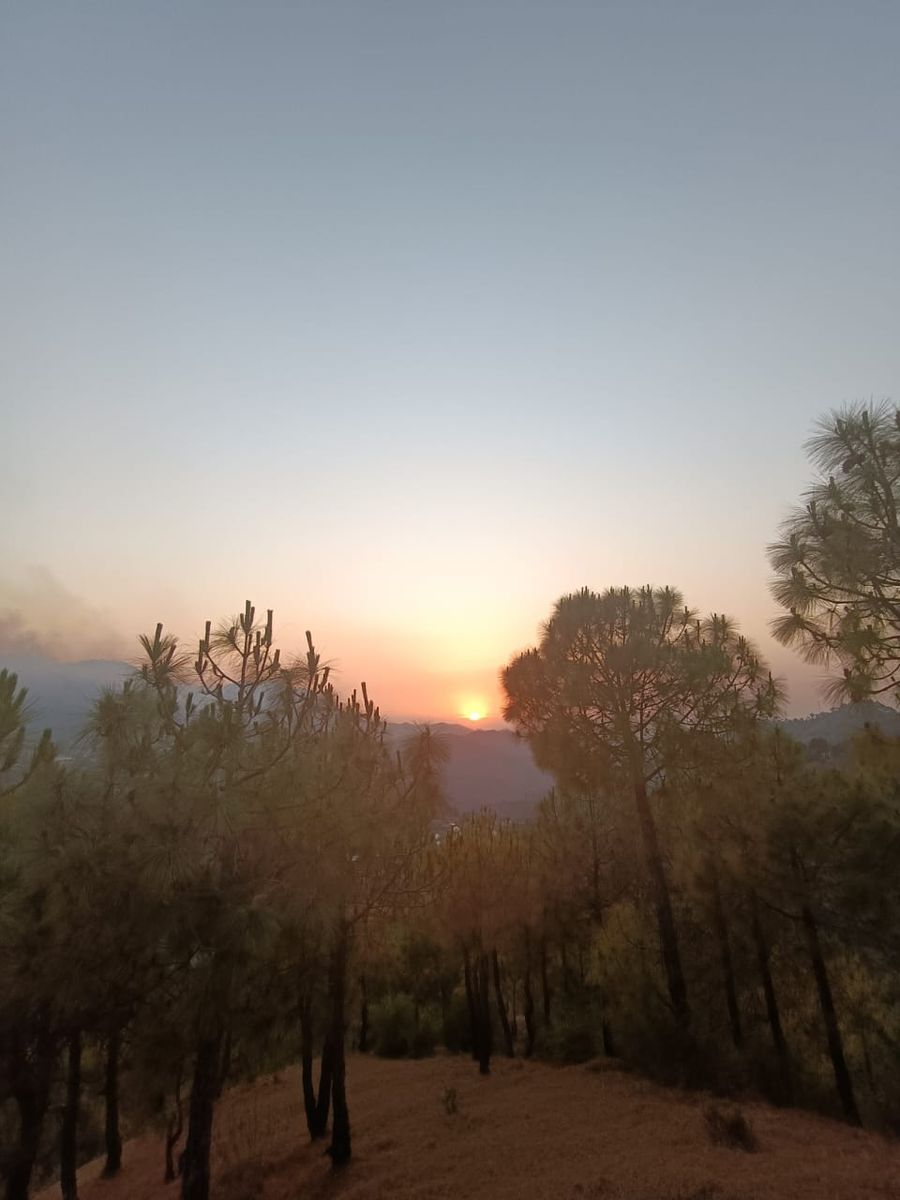 Valley View Homestay in Solan, Himachal Pradesh