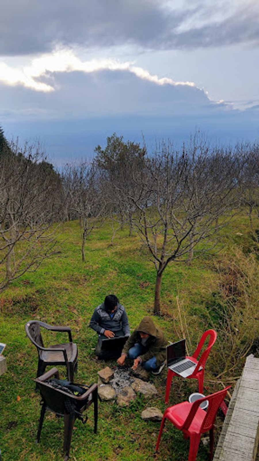 Cedar Valley Homestay in Nalda, Mandi, Himachal Pradesh