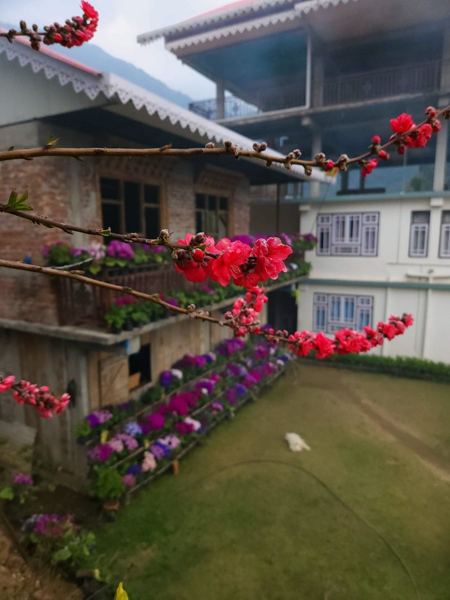 Lingkarpa's Homestay in Yuksam, Sikkim
