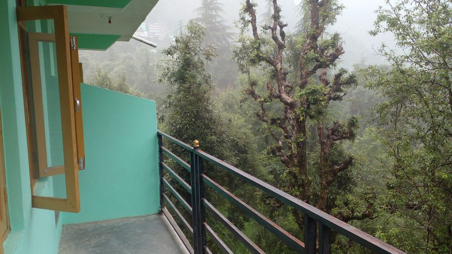 Om Hill View Guest house in Dharamshala, Himachal Pradesh