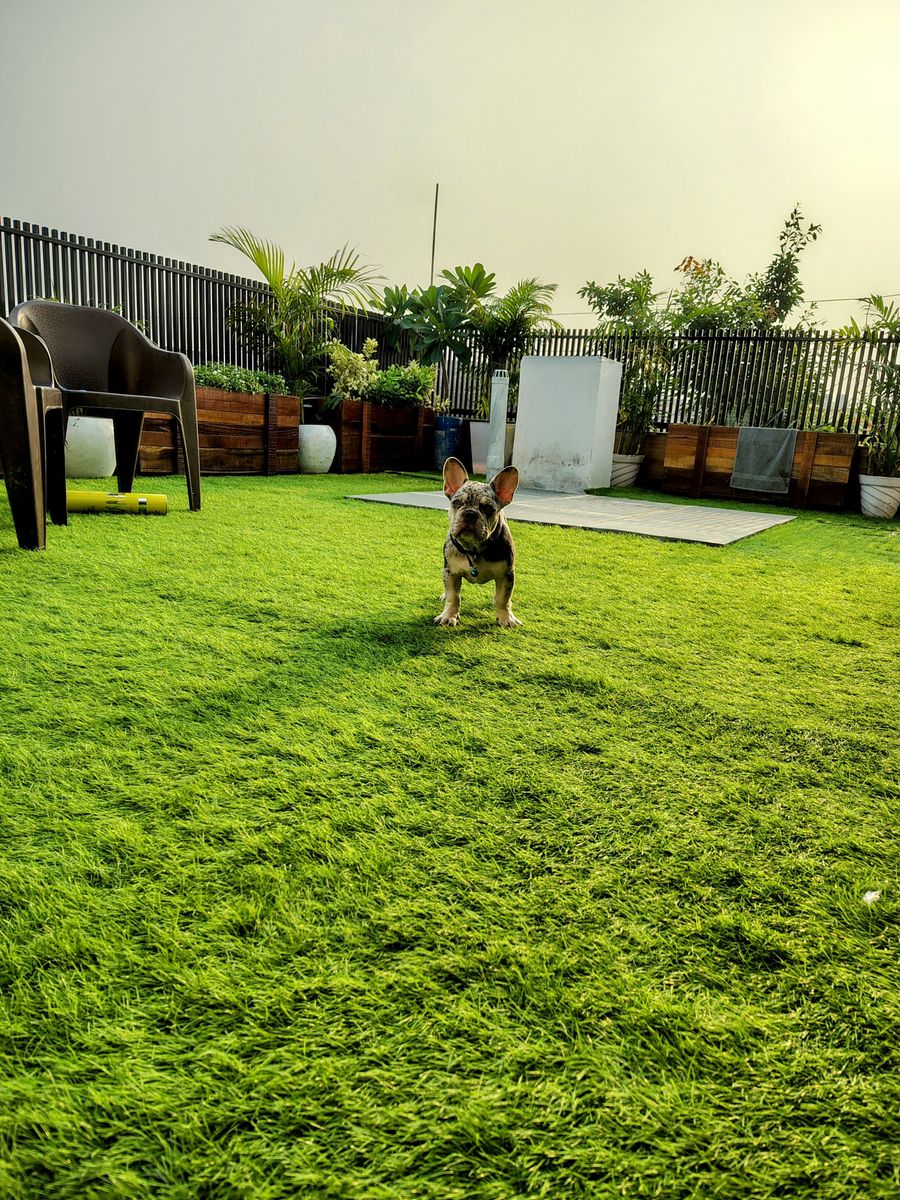 Fun O Peace Homestay in Noida, Uttar Pradesh