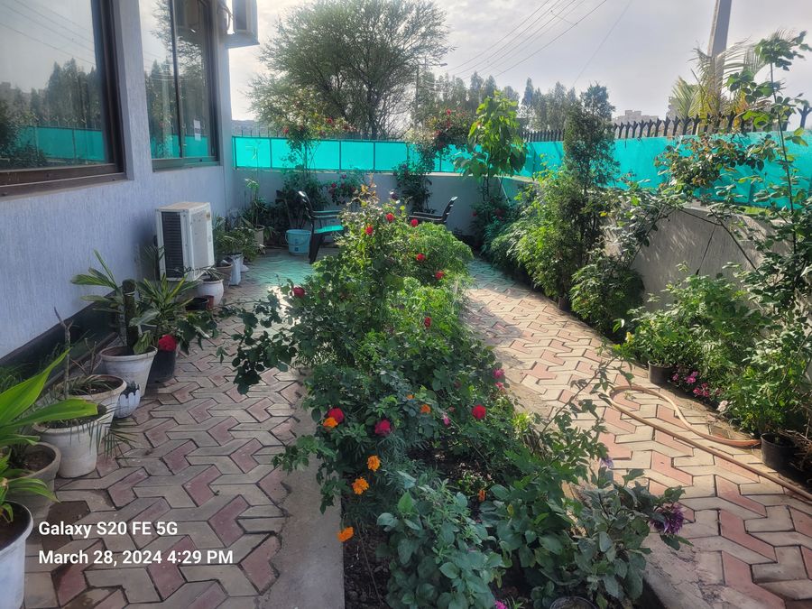 Bunglow with Swimming Pool N Pool Table in Mohali, Punjab