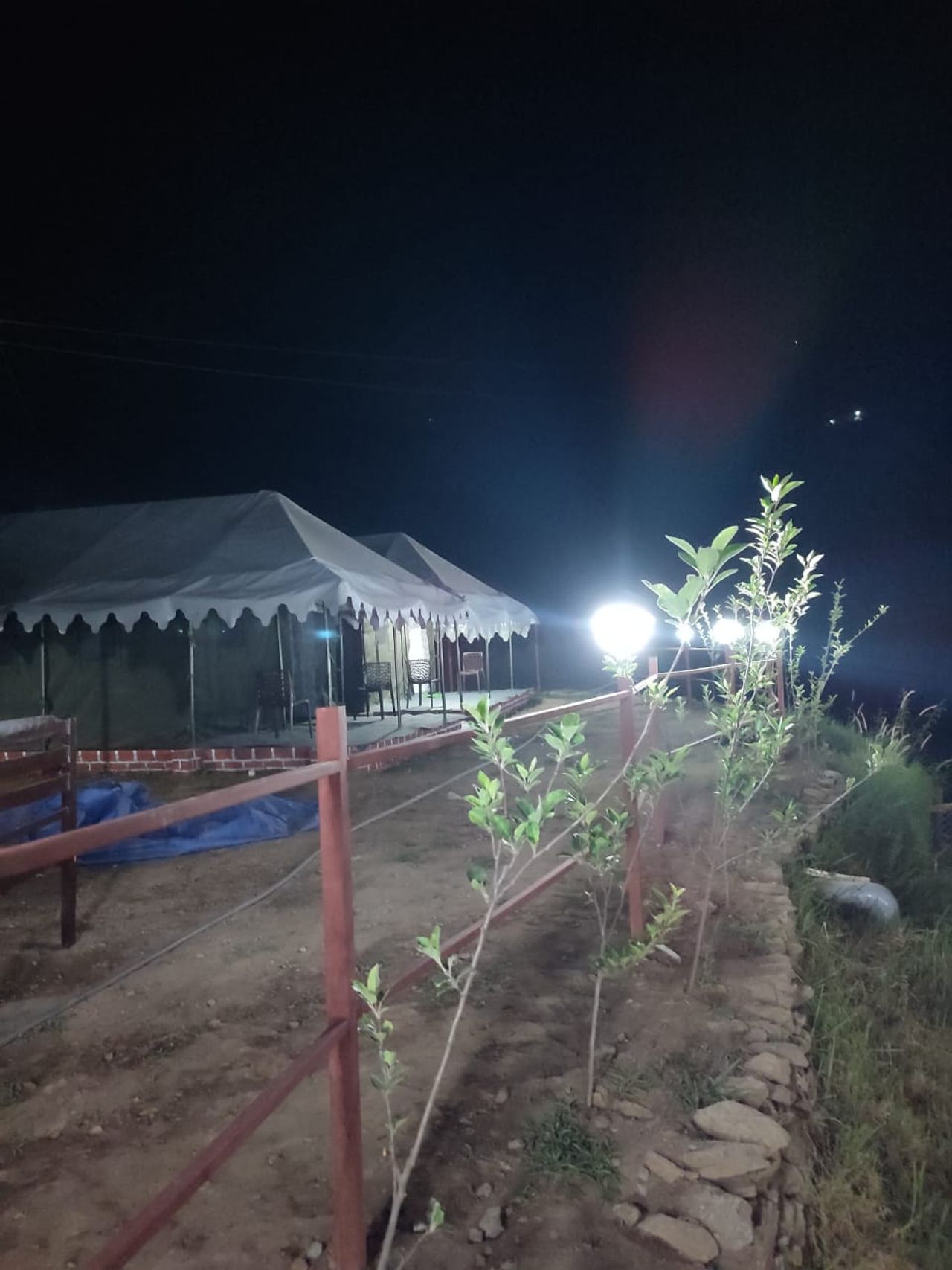 Evening night view of illuminated safari tents in Bhimtal campsite